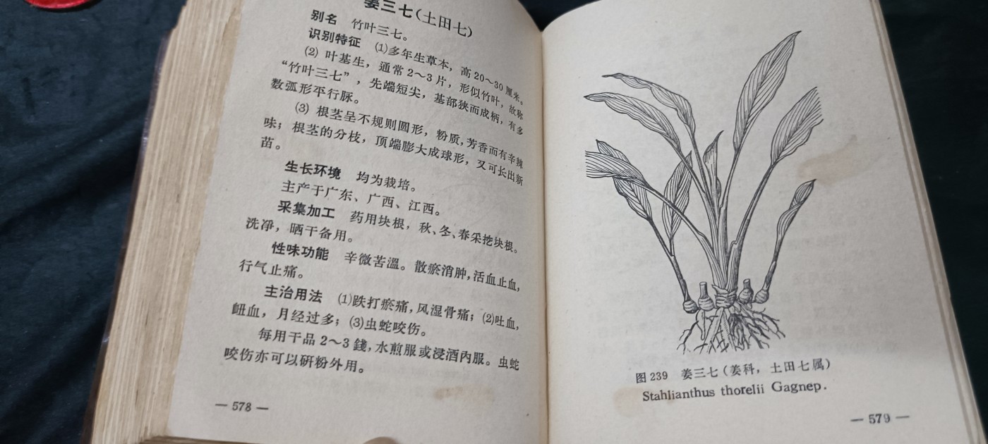 天字一号拍卖，100件拍品全部0起！ 超大本wg中医书，广州部队后勤部出品！包含几百种草药，各种药方