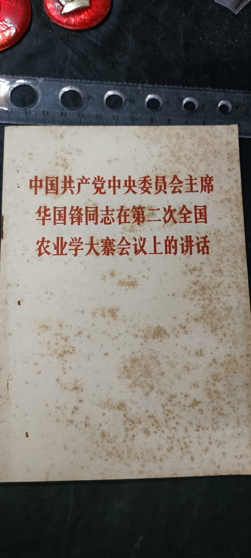天字一号拍卖，100件拍品全部0起！ 花讲话