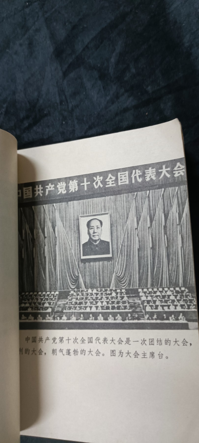 天字一号拍卖，100件拍品全部0起！ 十大
