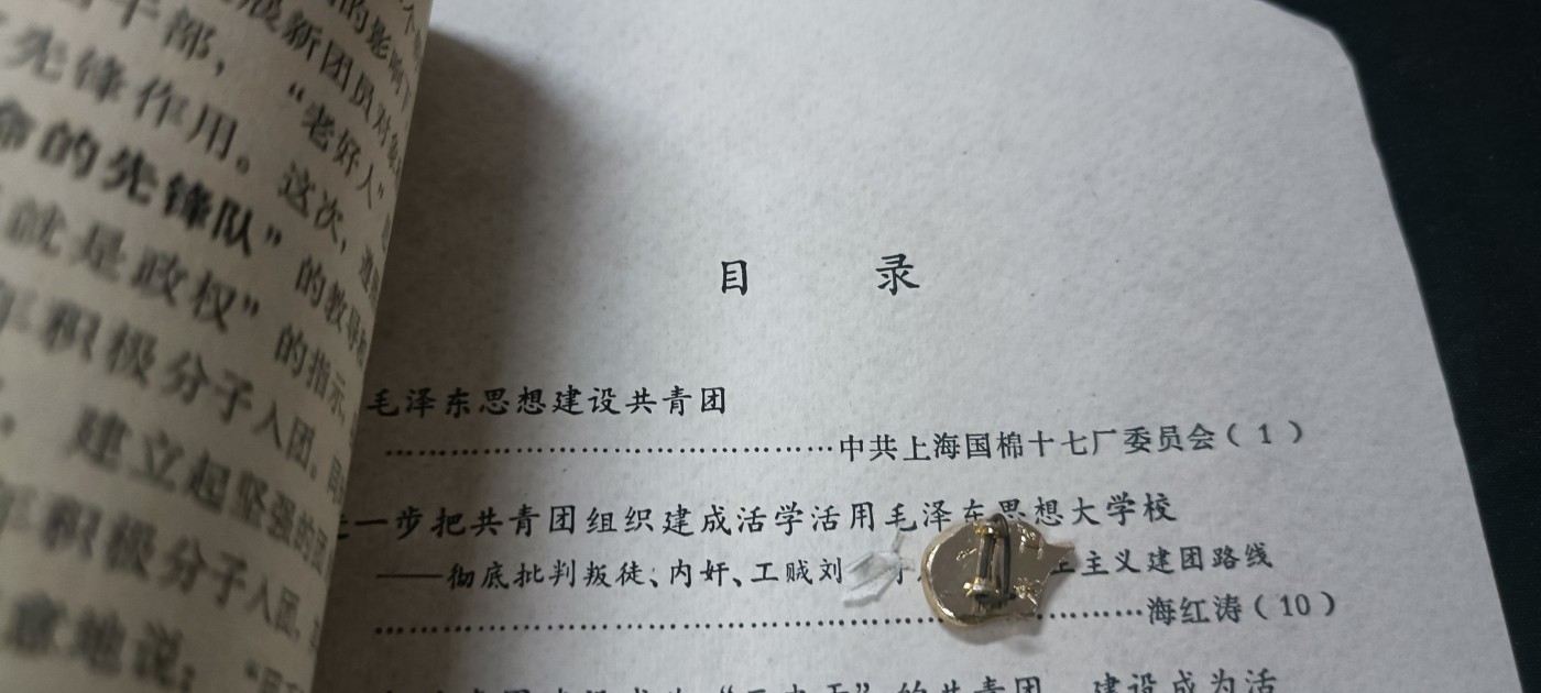 天字一号拍卖，100件拍品全部0起！ 国棉十七厂文件