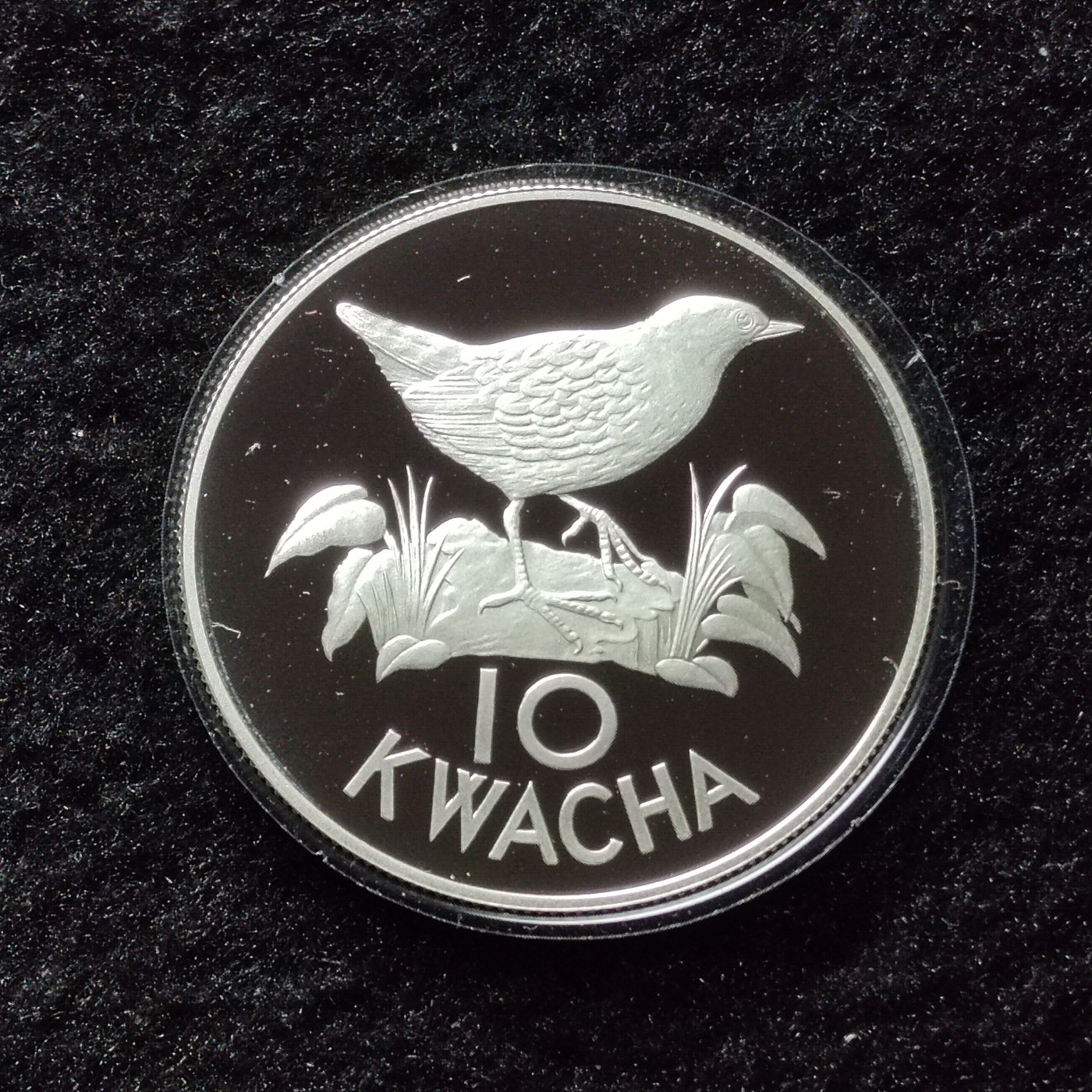 巴斯克收藏第192期 纪念币专场 11月21/22/23号三场连拍 全场包邮