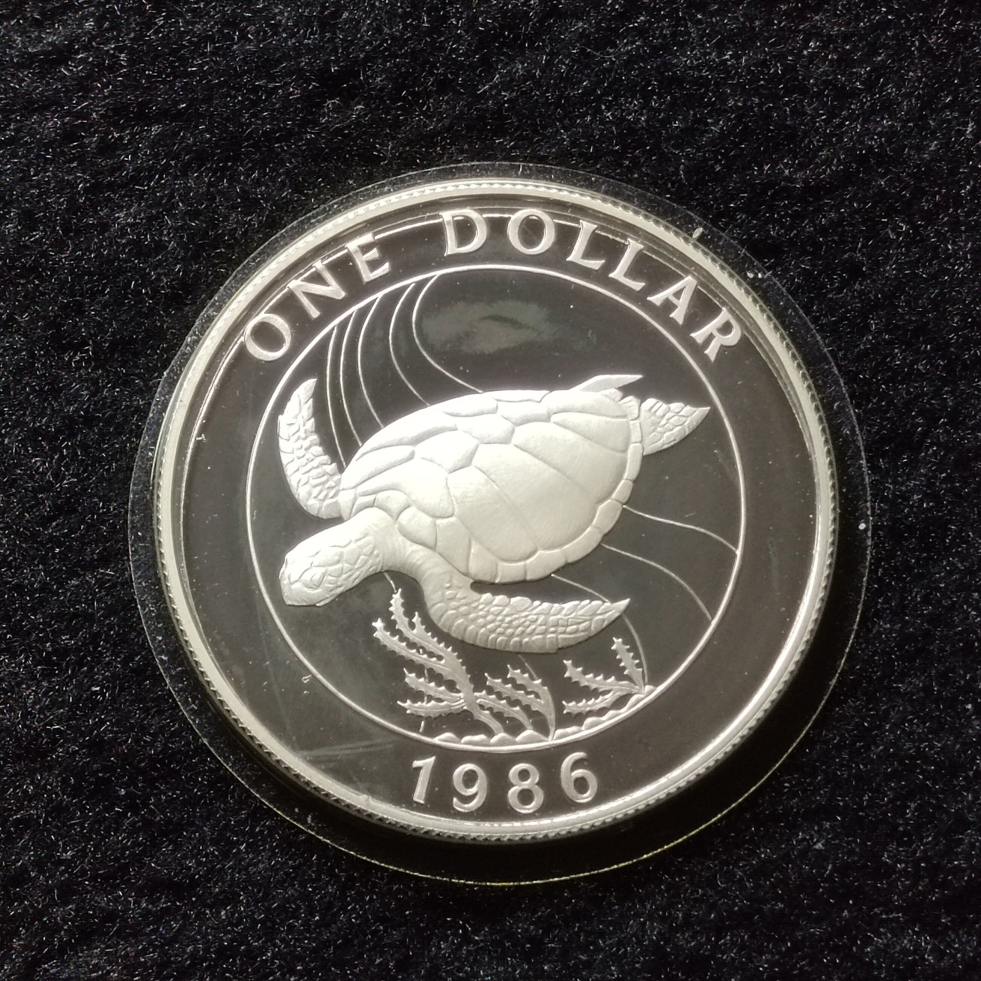 巴斯克收藏第192期 纪念币专场 11月21/22/23号三场连拍 全场包邮