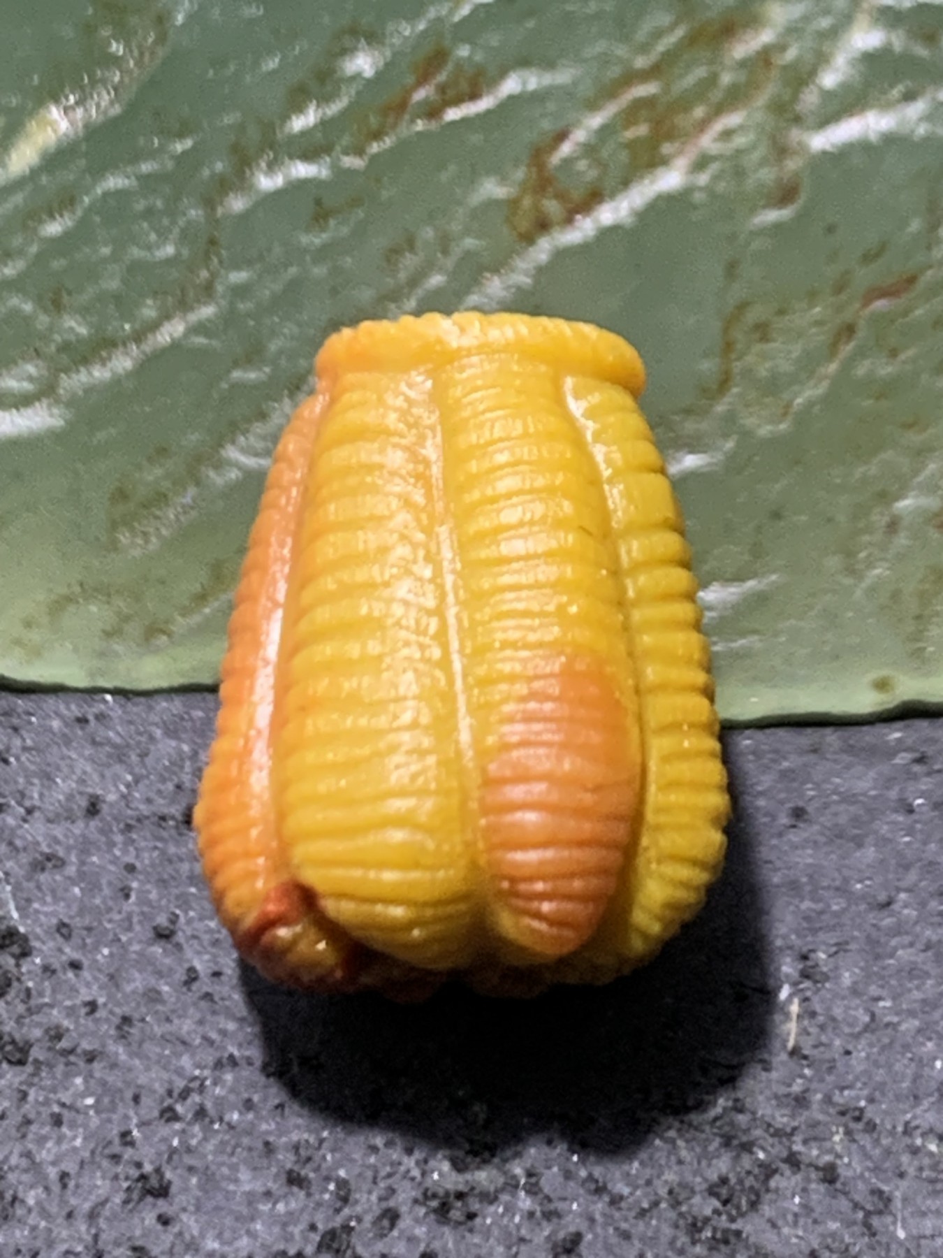 精美亚光高玉化战国红玛瑙手工俏色鱼篓小一体佛头三通一个