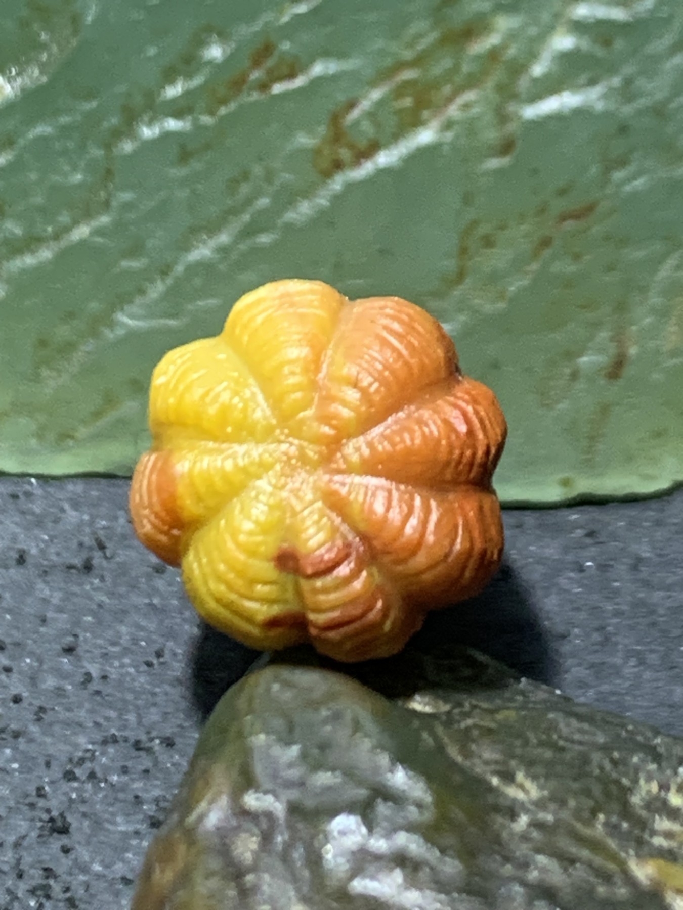 精美亚光高玉化战国红玛瑙手工俏色鱼篓小一体佛头三通一个