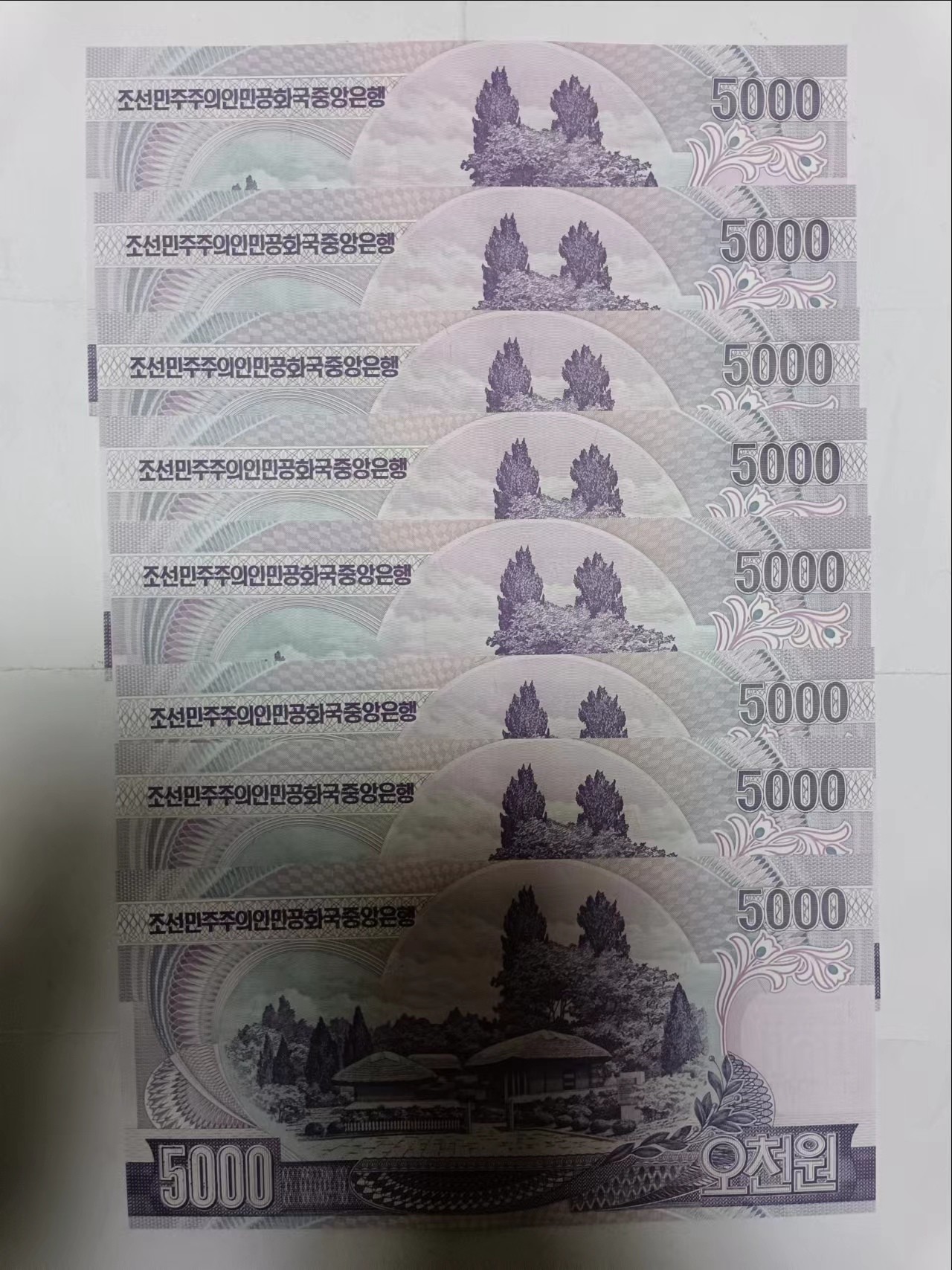 【20231114】非全新纸币第八十七场 朝鲜5000元8张纸币，全新