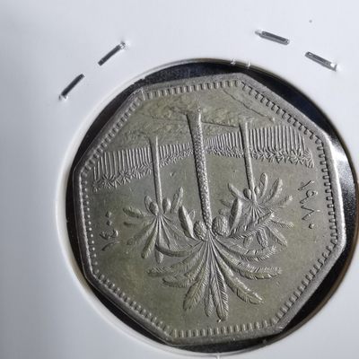 沼泽如烟--第166场双十一快递员收件慢各位理解下谢谢 - 伊拉克