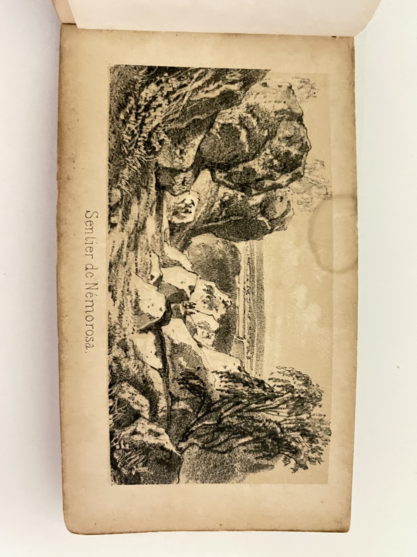 海外回流精品（欧美专场） 法国回流18-19世纪小画册（图片数量限制画册无法拍全）