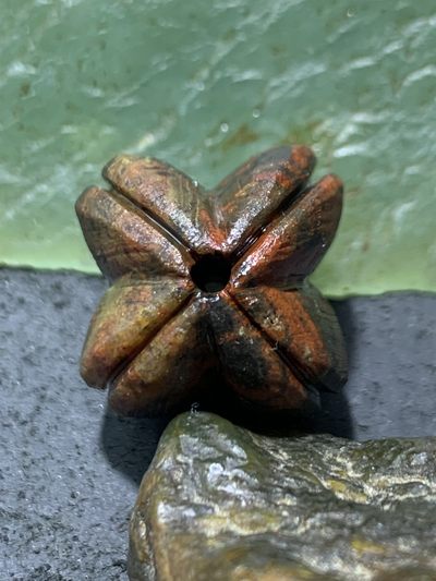 精美草花战国红玛瑙手工雕刻四棱珠一颗！， - 精美草花战国红玛瑙手工雕刻四棱珠一颗！，