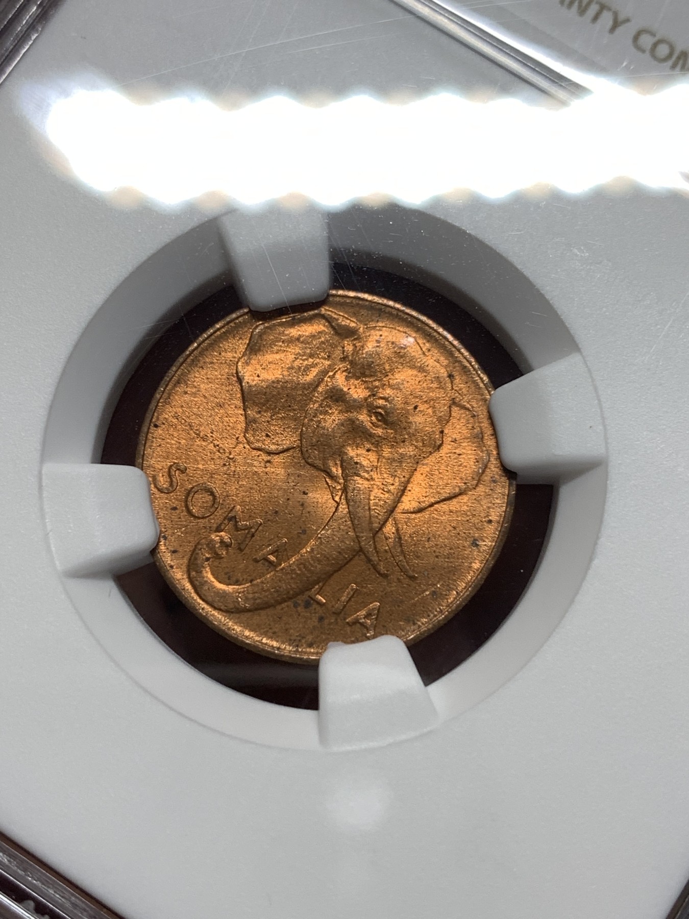 《竞宝斋》第215场-周日，周一 2场 (全场包邮) NGC MS64RB 意属索马里1950年1分，高分好品