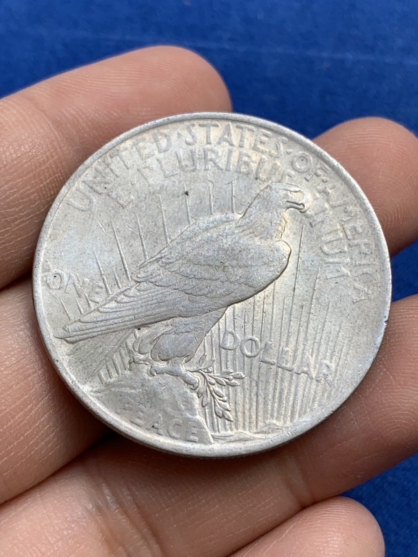 《竞宝斋》第215场-周日，周一 2场 (全场包邮) 美国1922年和平鸽1美元大银币 带光好品 状态不错