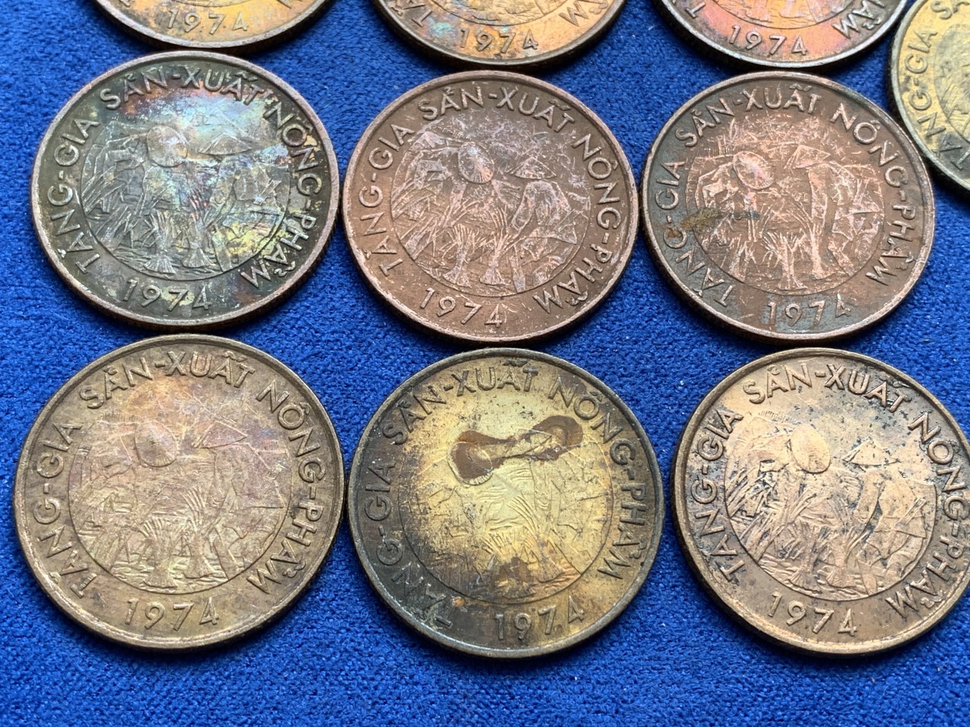 《竞宝斋》第215场-周日，周一 2场 (全场包邮) 10枚一组 南越1974年10盾 FAO 钢镀黄铜纪念币