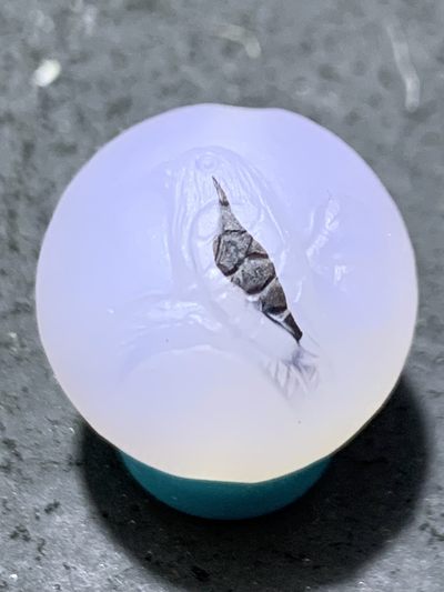 精美高玉化亚光海洋玉髓手工俏色巧雕喜上眉梢随形圆珠一个 - 精美高玉化亚光海洋玉髓手工俏色巧雕喜上眉梢随形圆珠一个