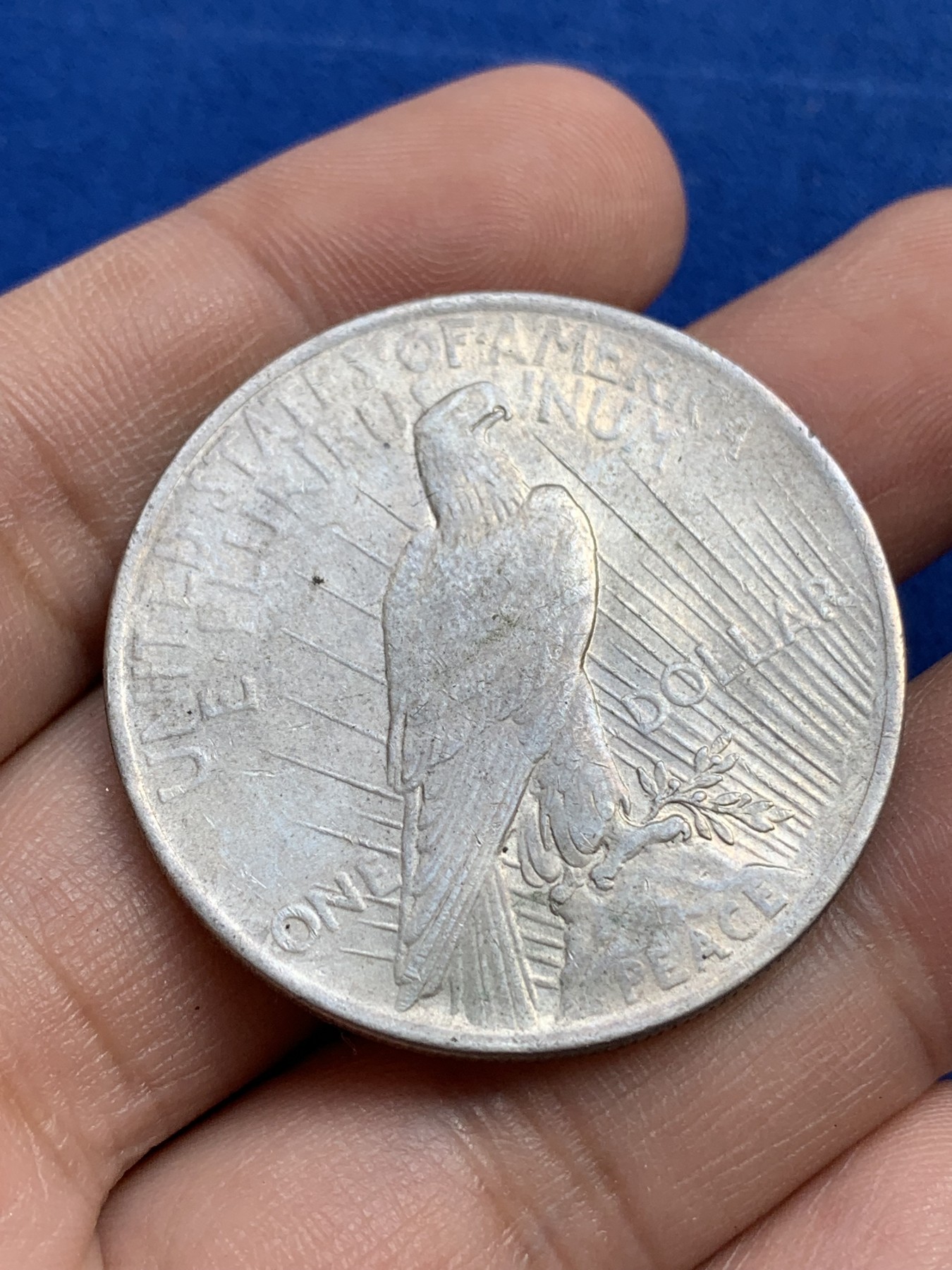 《竞宝斋》第215场-周日，周一 2场 (全场包邮) 美国1922年和平鸽1美元大银币 带光好品 状态不错