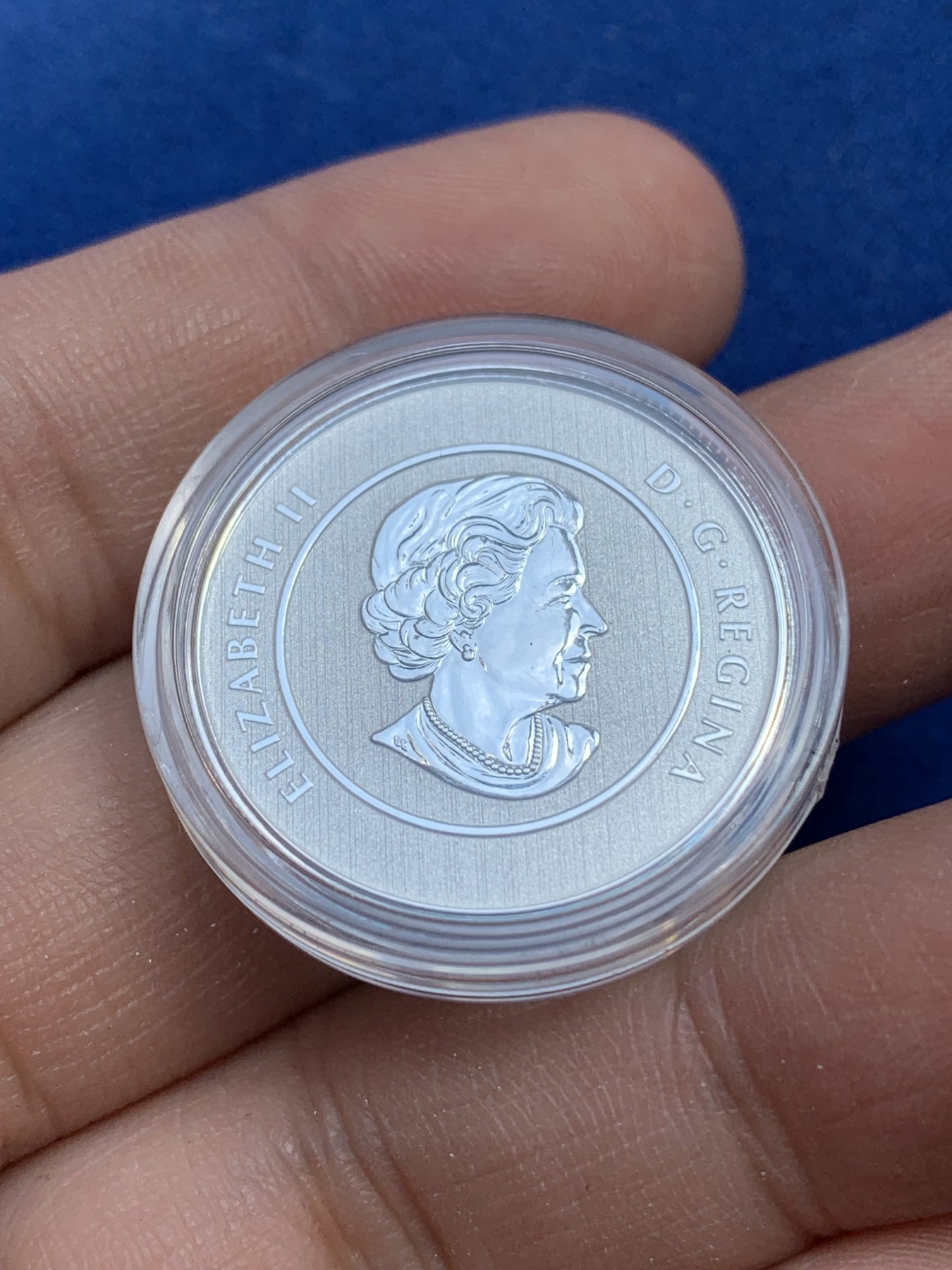 《竞宝斋》第215场-周日，周一 2场 (全场包邮) 加拿大2013精致9999纯银20元银币