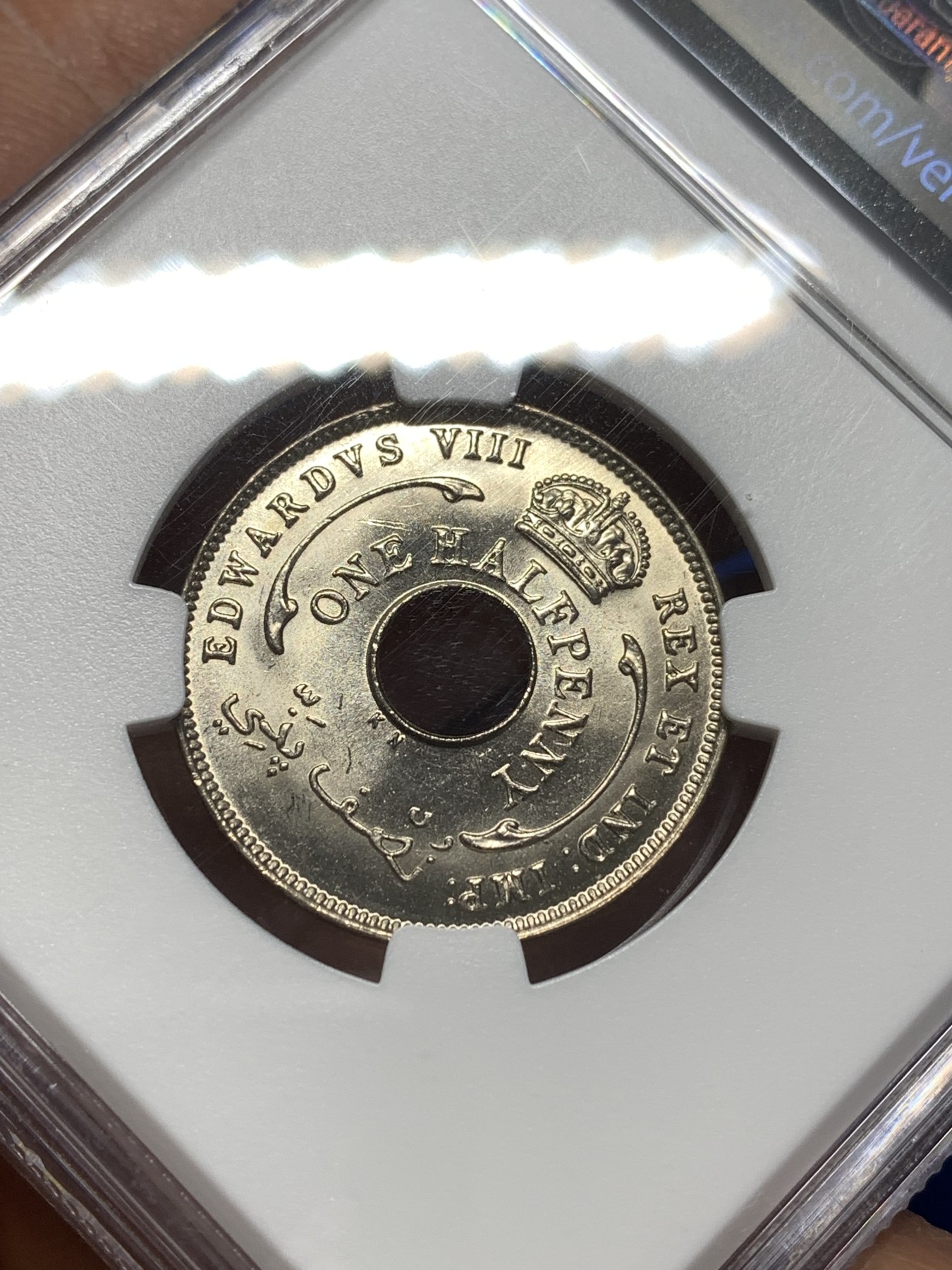 《竞宝斋》第215场-周日，周一 2场 (全场包邮) NGC-MS66 亚军分 爱德华八世 英属西非1936年半便士，正式发行带爱八徽号的品种不多见。66顶级状态，收藏级完美品质。