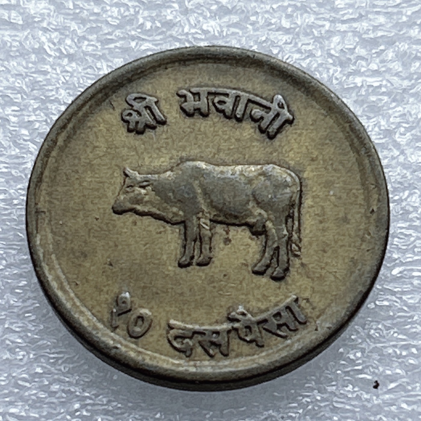 全场一元起拍 世界钱币散币专场 第37期 尼泊尔铜币一个 好品