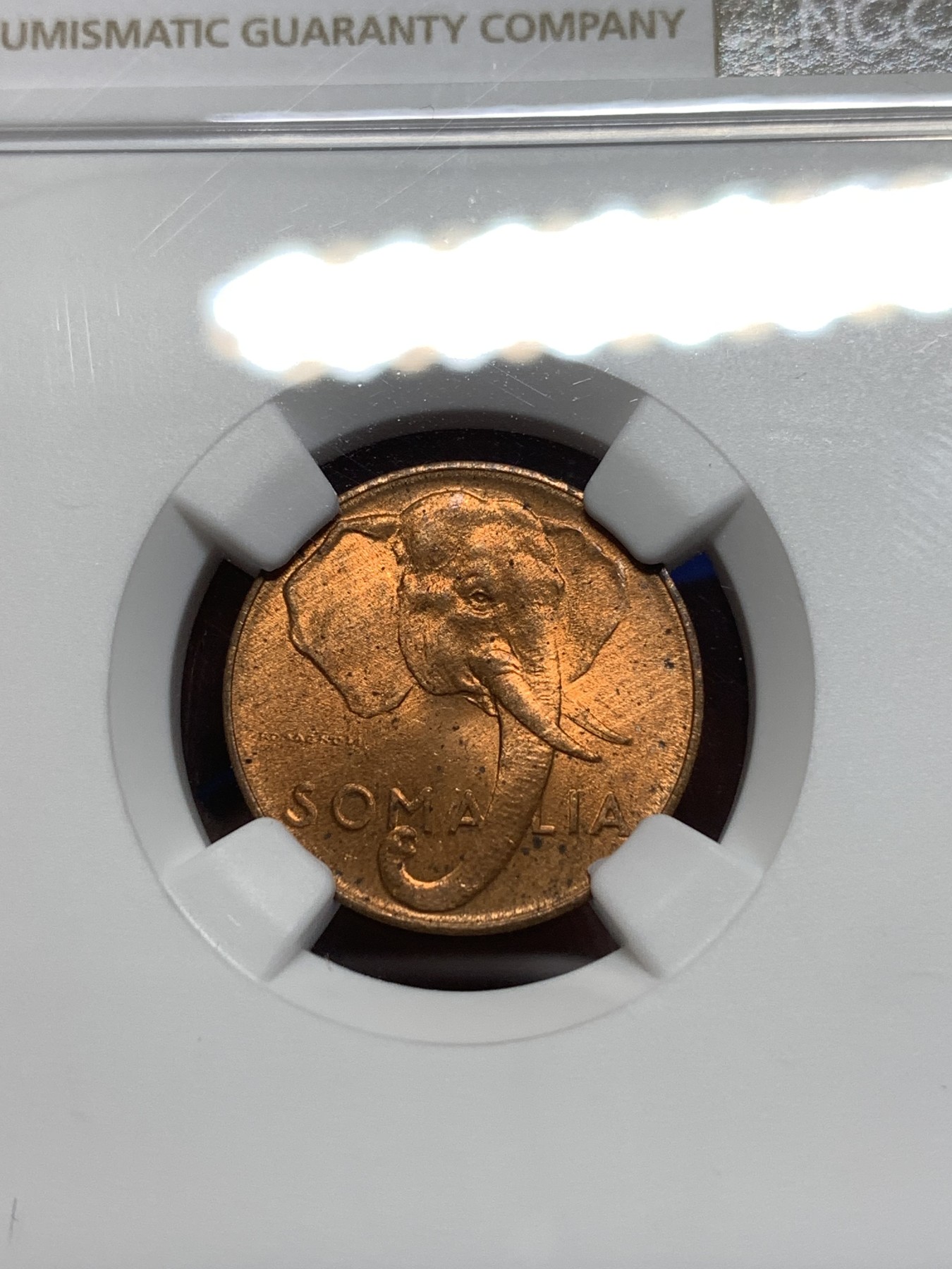 《竞宝斋》第215场-周日，周一 2场 (全场包邮) NGC MS64RB 意属索马里1950年1分，高分好品