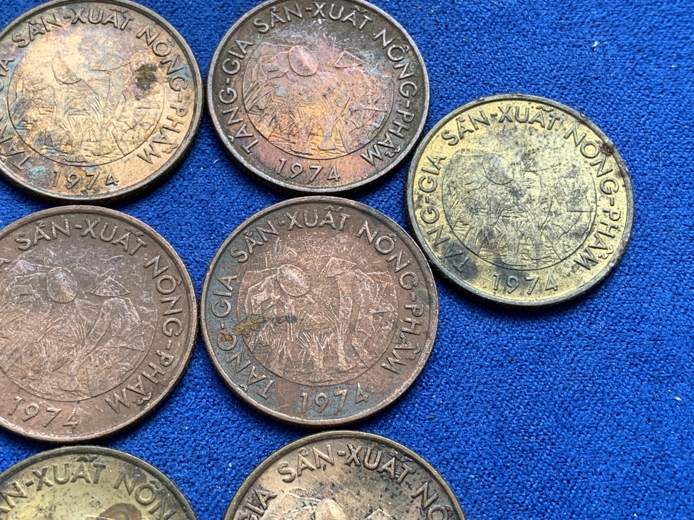 《竞宝斋》第215场-周日，周一 2场 (全场包邮) 10枚一组 南越1974年10盾 FAO 钢镀黄铜纪念币