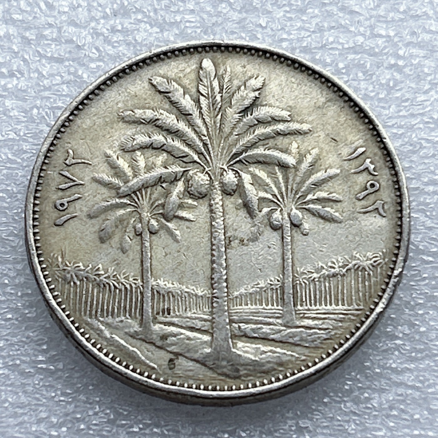 全场一元起拍 世界钱币散币专场 第37期 伊拉克100费尔硬币