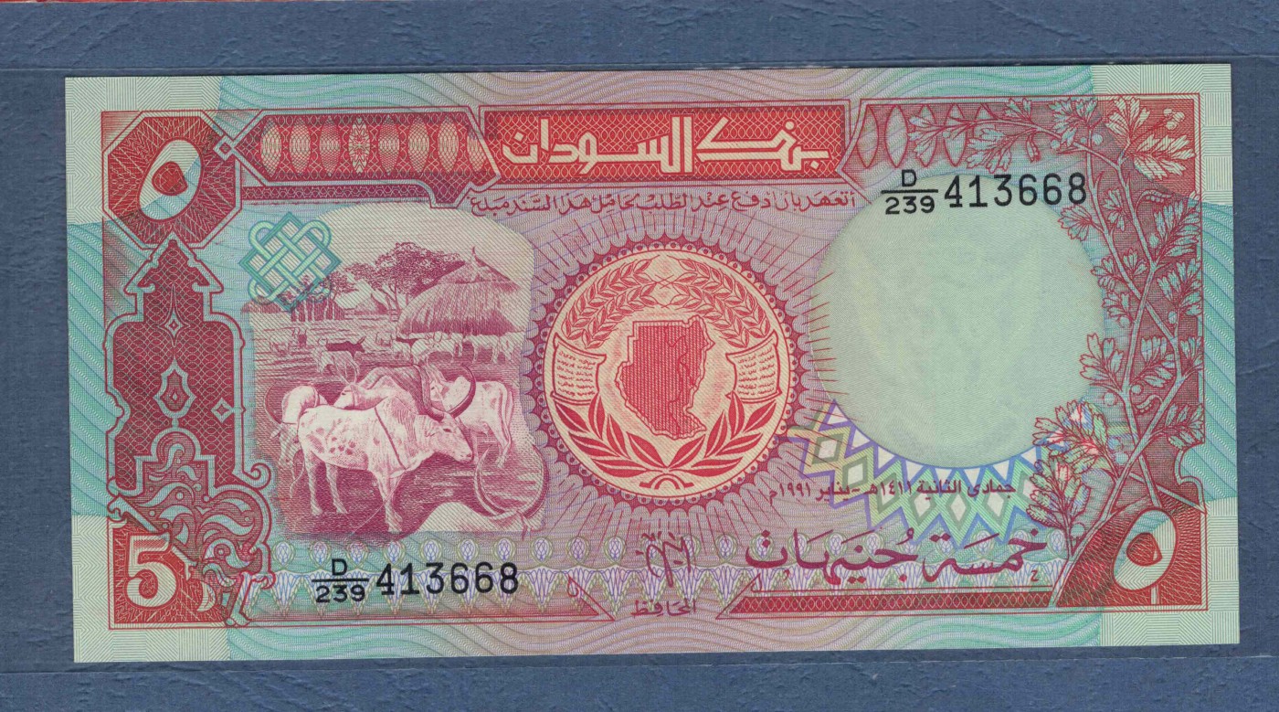 苏丹1991年5镑 P-45 非洲纸币 实物图 UNC