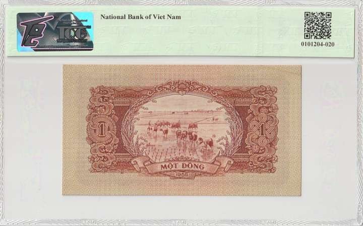 收藏联盟Quantum Auction 第304期拍卖  越南1958年1盾 TQG58 中国代印