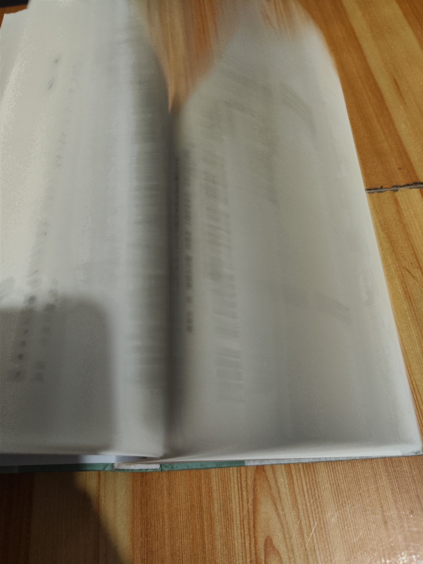 注石门文字禅上下册
