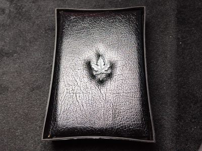 巴斯克收藏第196期 卡册，套币，封装专场 11月28/29/30 号三场连拍 全场包邮 - 加拿大 伊丽莎白二世 1988年精制套币卡包  7枚含1枚1加元圣莫里斯钢铁厂250周年念银币