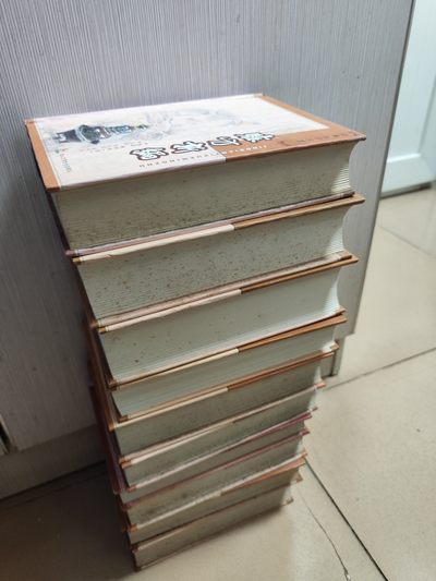 经典医学名著：临证指南医案、张氏医通、世医得效方、验方新编、千金翼方、类证治裁、寿世保元、仁斋直指方、景岳全书（上、下册）共9种，10本合售 经典医学名著：临证指南医案、张氏医通、世医得效方、验方新编、千金翼方、类证治裁、寿世保元、仁斋直指方、景岳全书（上、下册）共9种，10本合售