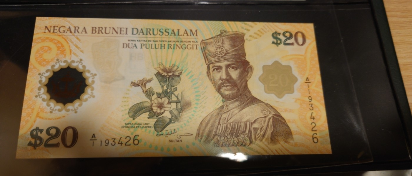 【世界钱币】精选微拍第81期暨2023年第二十八期 混合场 有最新展会卖剩品种 207年文莱20林吉特 全新绝品