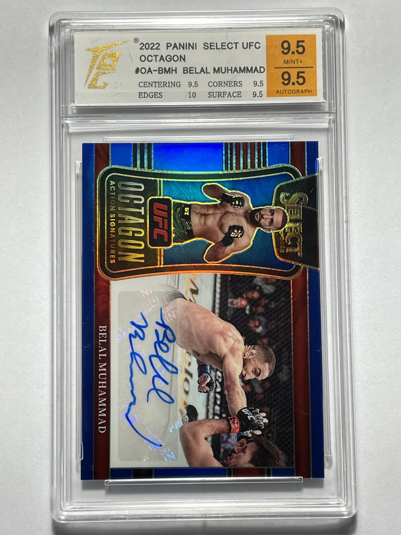 【德藏】卡牌拍卖第6期【无每件最低收费！！！】  UFC 2022 PANINI SELECT 贝拉·穆罕默德 49编 亲签限编卡 横版 TQG 9.5 签字9.5