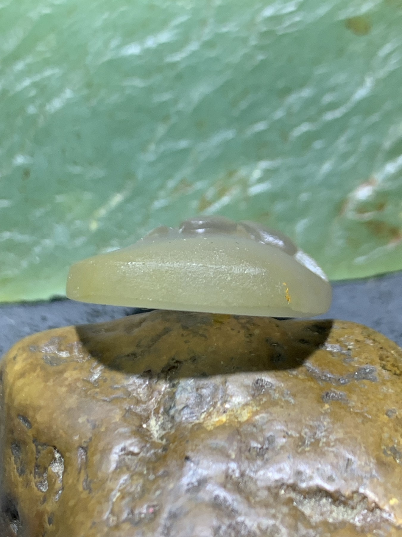 精美高润度冻料冰飘蒙料战国红玛瑙手工俏色巧雕刻蝇吊坠一个