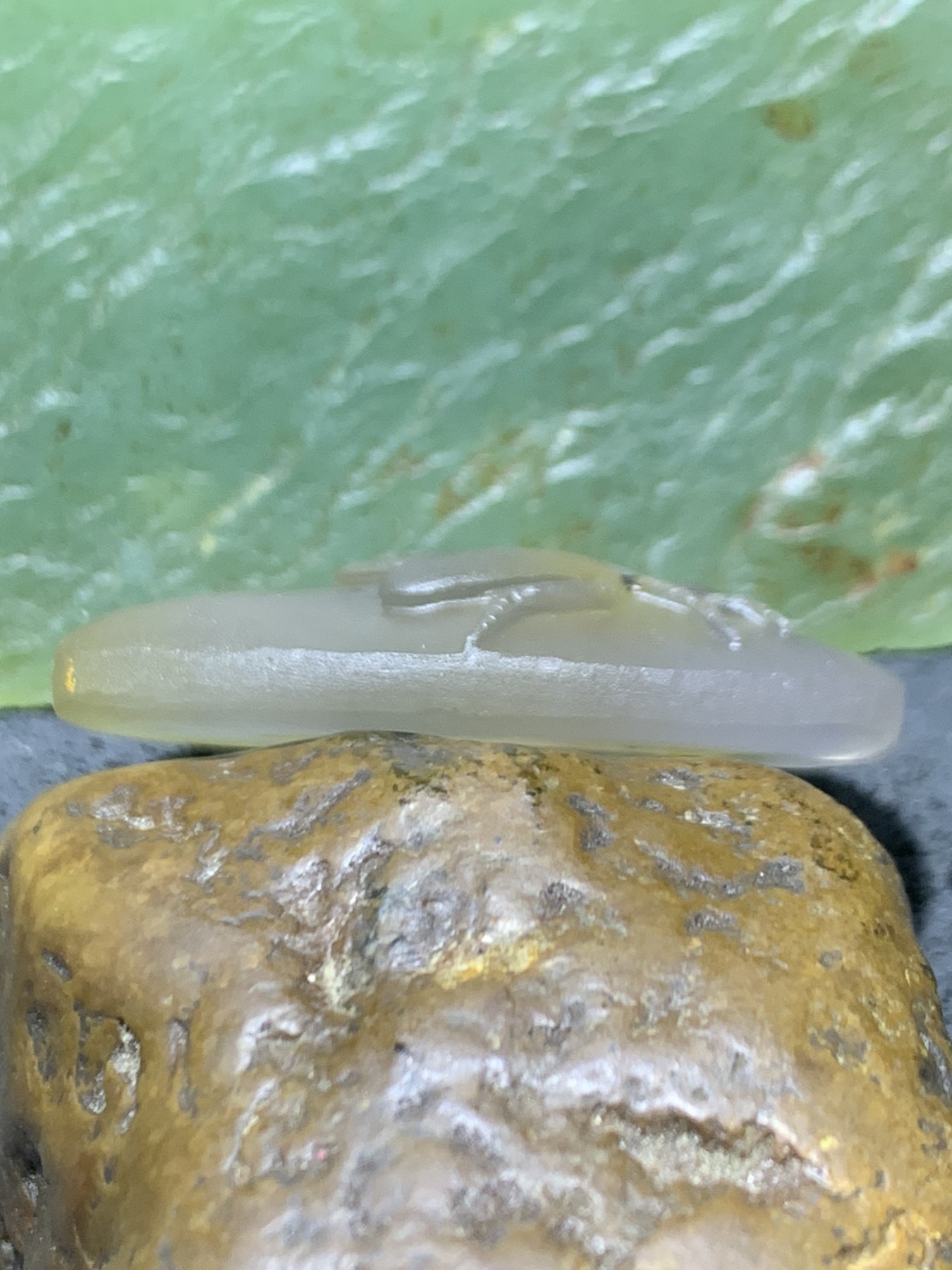 精美高润度冻料冰飘蒙料战国红玛瑙手工俏色巧雕刻蝇吊坠一个
