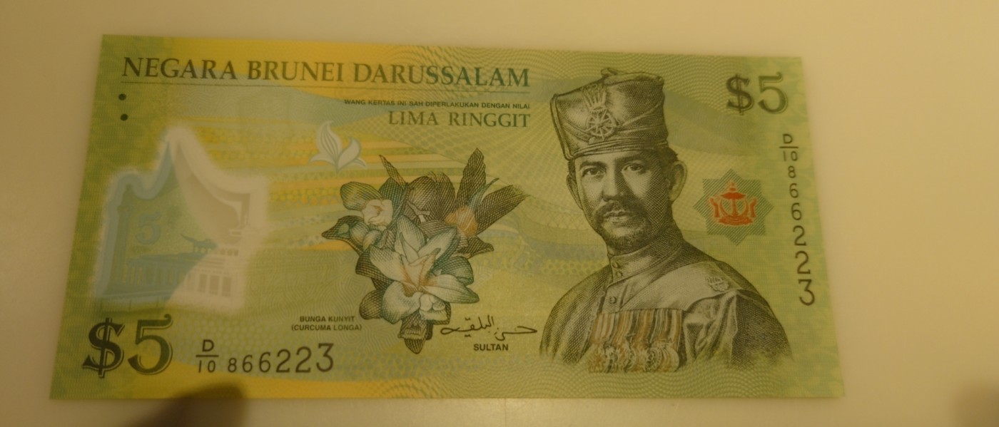 【世界钱币】精选微拍第83期暨2023年第三十期 少量硬货无底价起拍 2011年文莱5林吉特 全新绝品无47尾号223