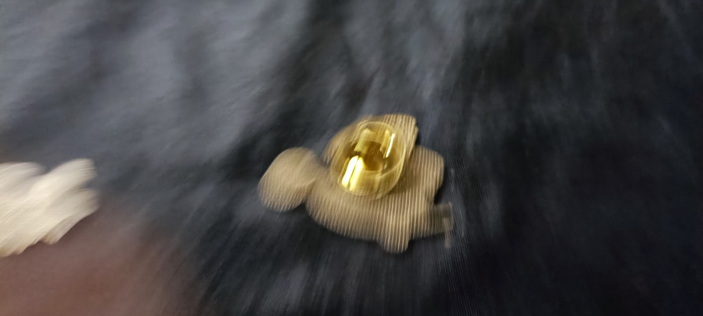 杂项拍卖，全部0起，可以寄存！ 两枚徽章（好像和巴西足球相关）