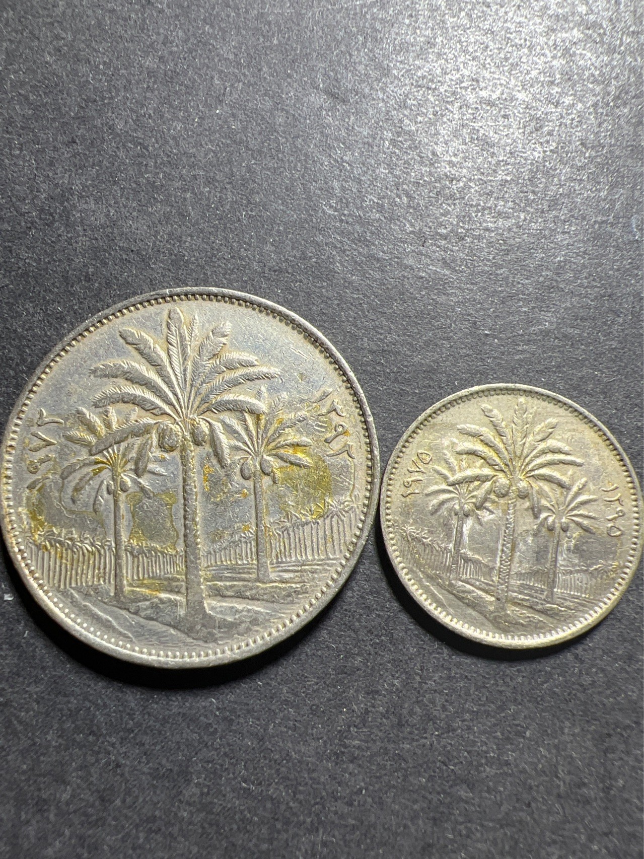 【8个洞收藏】第30场★ 0起1加★硬币专场 新规则实施  伊拉克100费尔 25费尔 棕榈树 铜镍