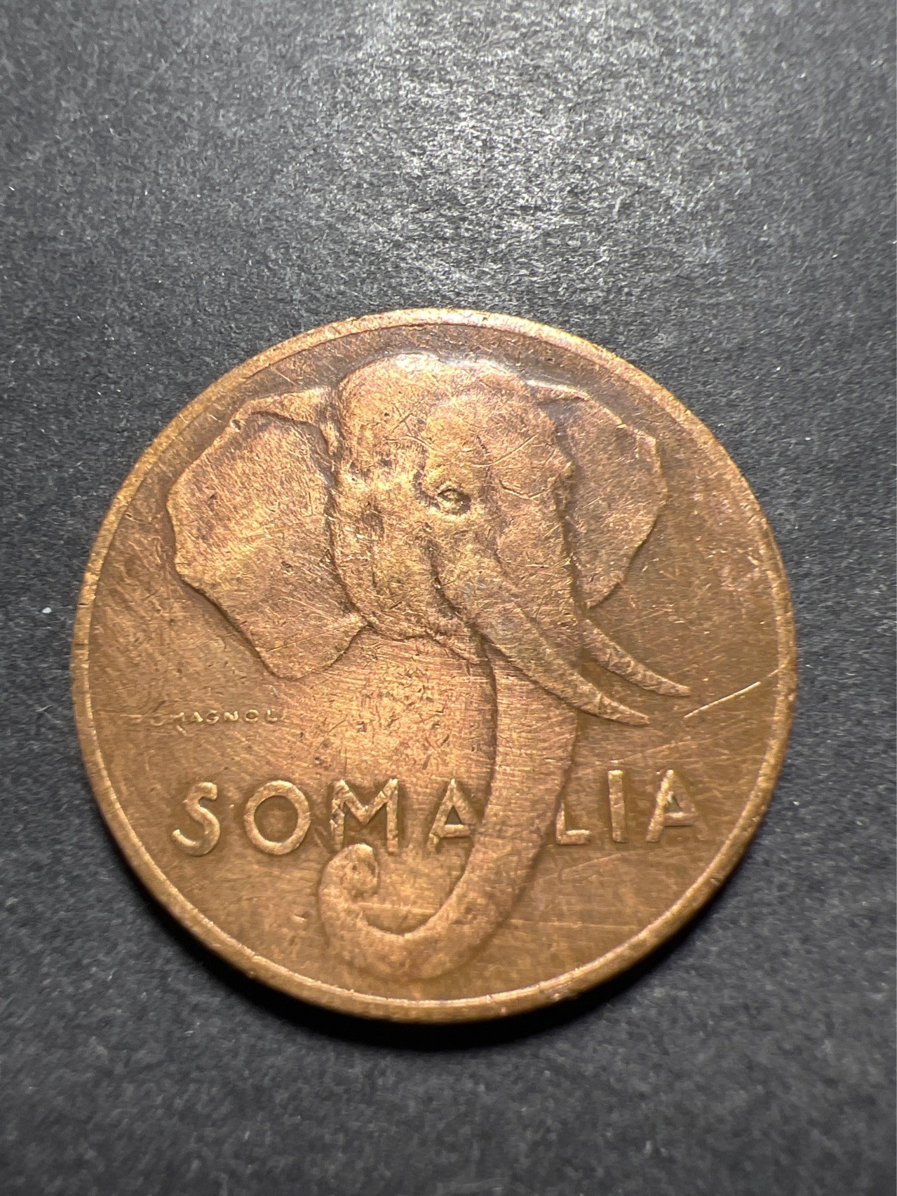 【8个洞收藏】第30场★ 0起1加★硬币专场 新规则实施  非洲索马里1950年 5分 草原象