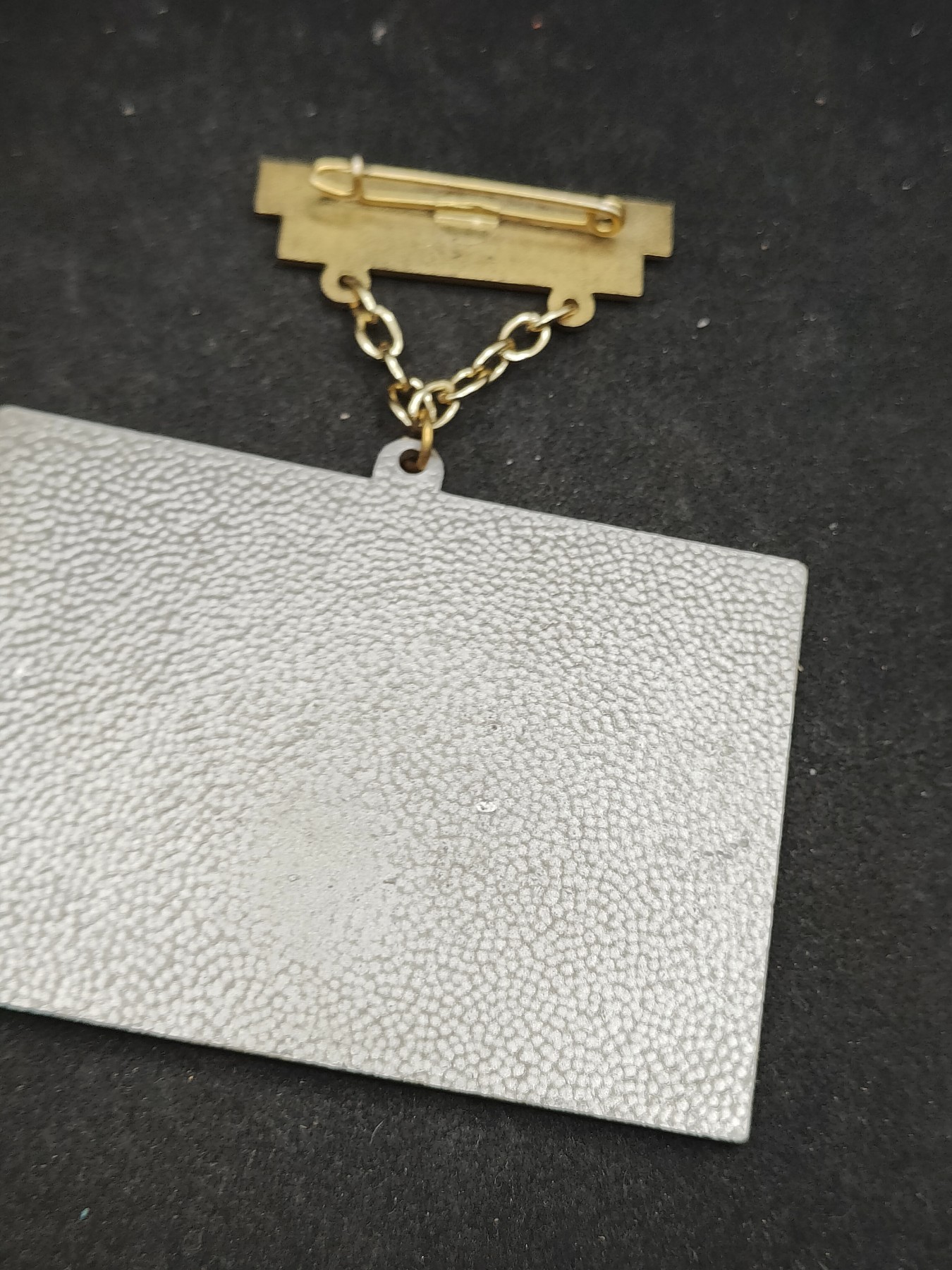 全场0元起拍 第111期 咸鱼国勋章拍卖专场 11月26日（周日）下午6：00开始 西德纪念章