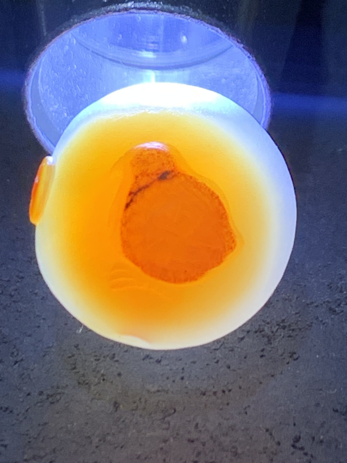 精美高玉化亚光海洋玉髓手工俏色巧雕小鸡钱币随形圆珠一个！