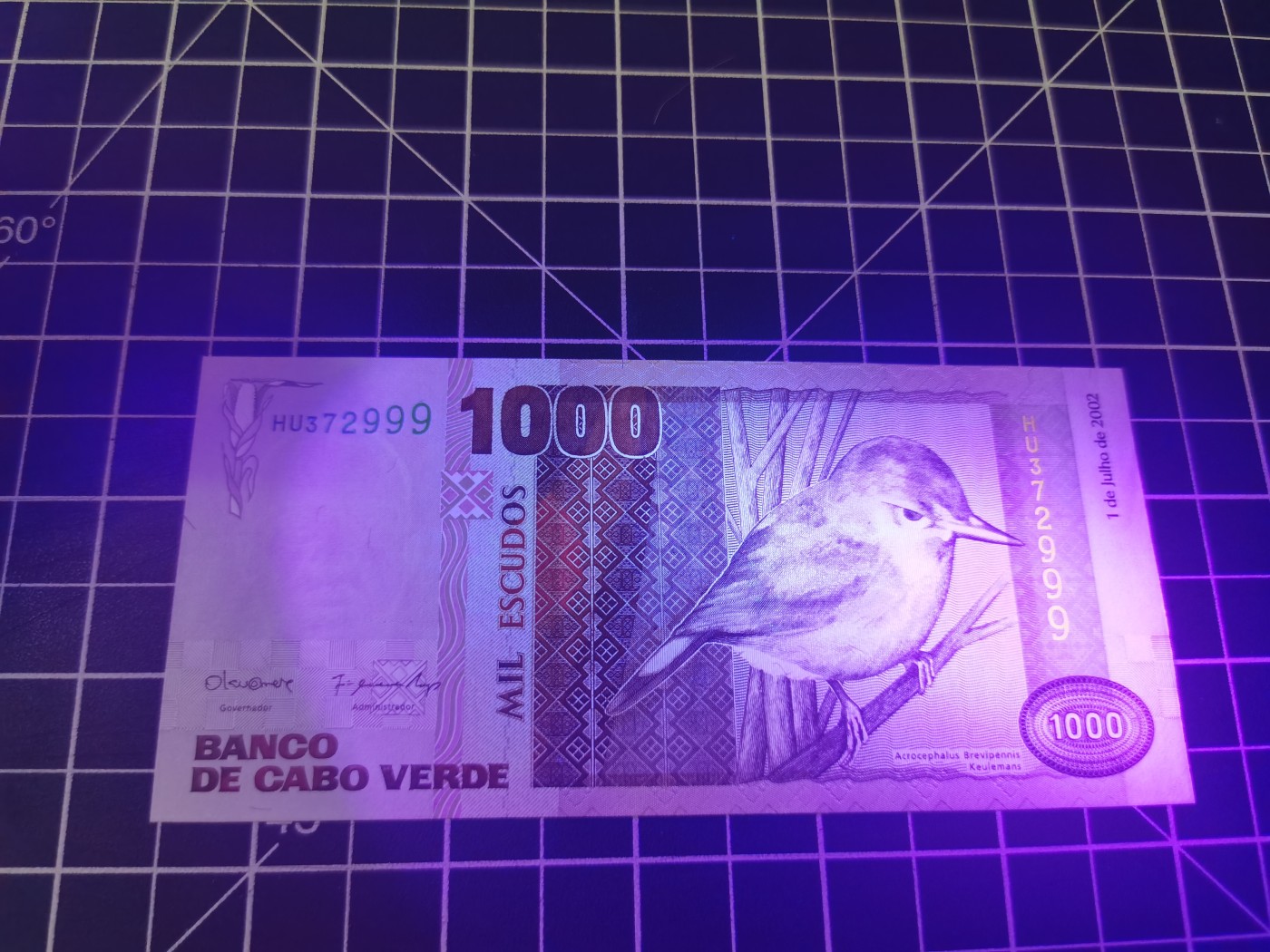 ｛北京钱博会专场｝Immortal auction豹子号及精品专场 佛得角1000，大昆虫，豹子号，Unc