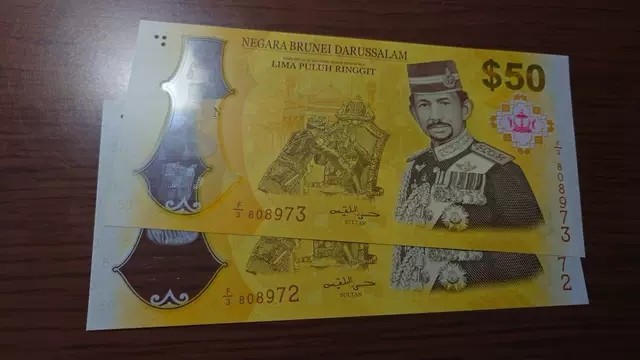 【世界钱币】精选微拍第84期暨2023年第三十一期 部分卖剩杂货大卖场(亚非篇) 2017年文莱50林吉特纪念钞 全新绝品全程无4尾号972(单张)