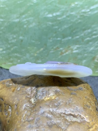 精美天然亚光高玉化巴西玛瑙手工俏色荷花吊坠一个 精美天然亚光高玉化巴西玛瑙手工俏色荷花吊坠一个