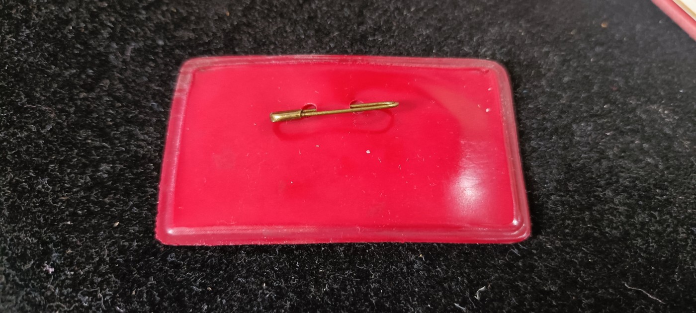 杂项拍卖，满百包邮，可以寄存！ hxb胸章