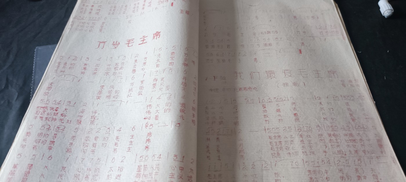 杂项拍卖，满百包邮，可以寄存！ 新疆菌曲毛主席歌曲