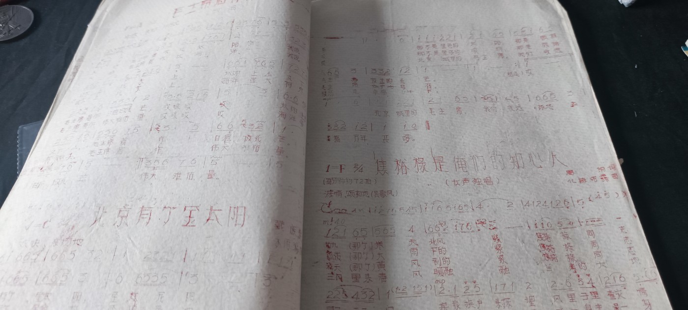 杂项拍卖，满百包邮，可以寄存！ 新疆菌曲毛主席歌曲