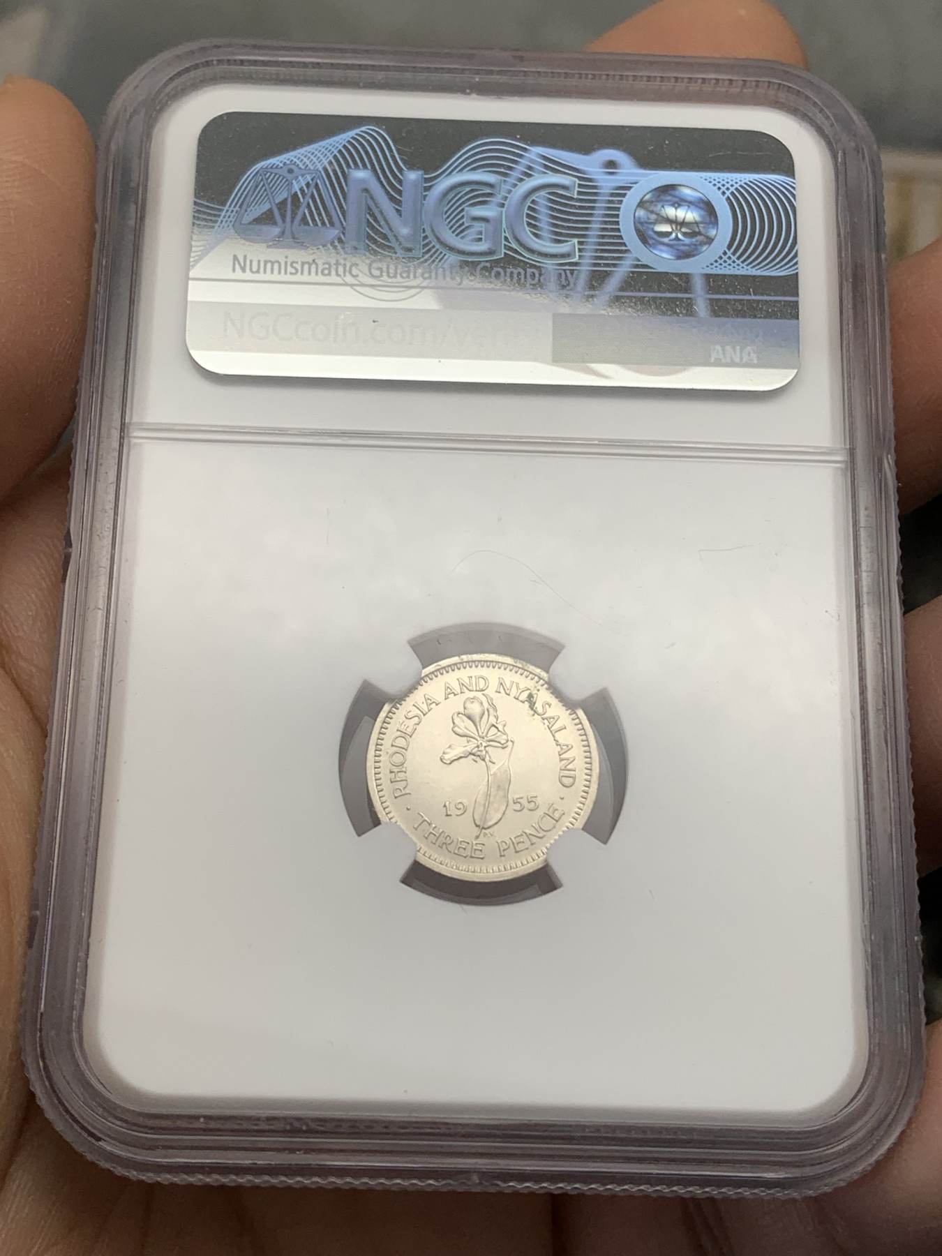 《竞宝斋》第218场-周日，周一 2场 (全场包邮) NGC PF63 罗德西亚和尼亚萨兰1955年3便士精制小银币