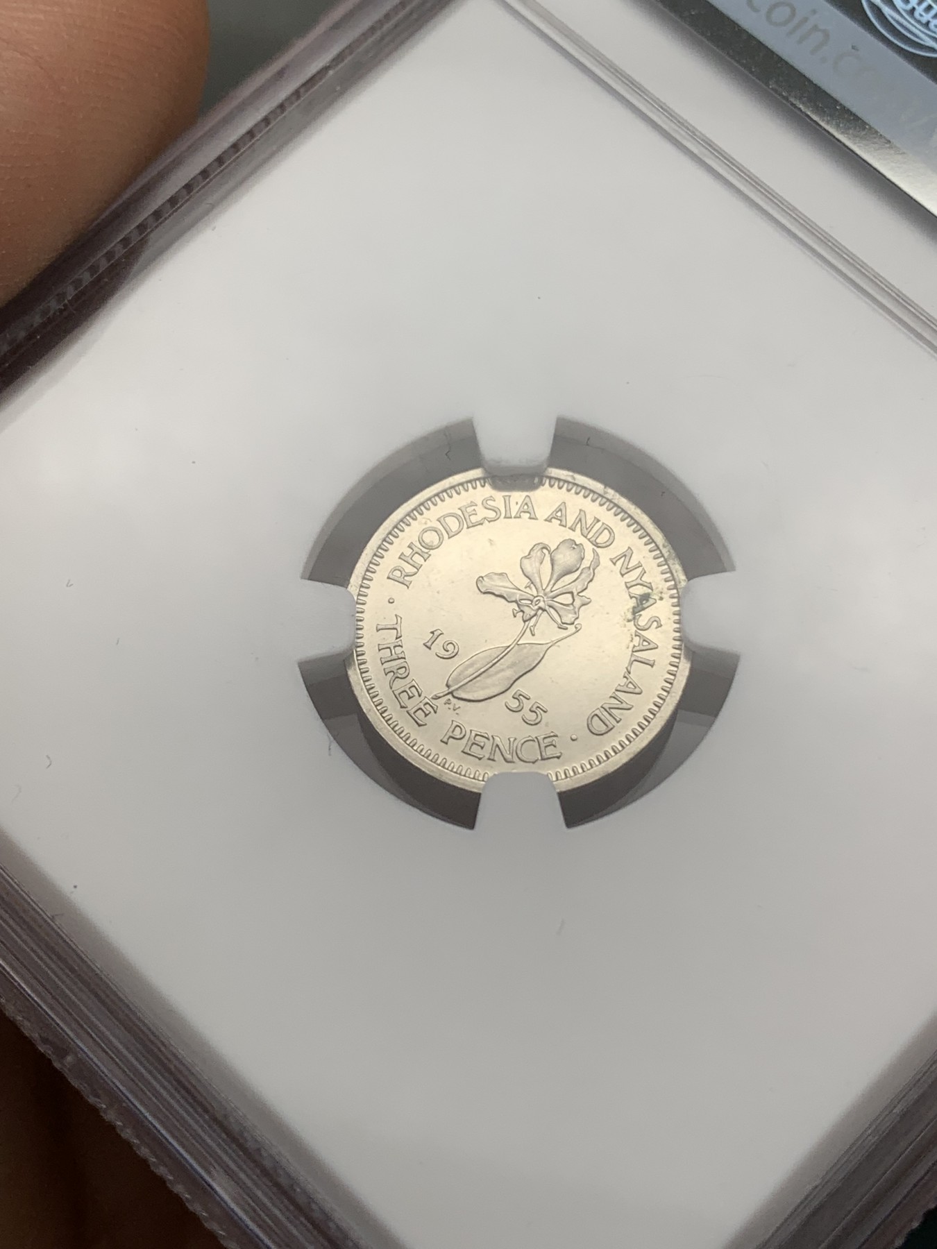 《竞宝斋》第218场-周日，周一 2场 (全场包邮) NGC PF63 罗德西亚和尼亚萨兰1955年3便士精制小银币