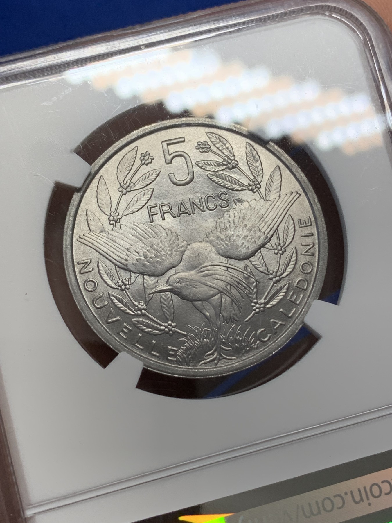 《竞宝斋》第218场-周日，周一 2场 (全场包邮) NGC-MS65 亚军分 法属新喀里多尼亚1952年5法郎大铝币，火炬女神+天堂鸟，双面设计亮眼。大尺寸铝币，65顶级品质，更高分仅2枚。