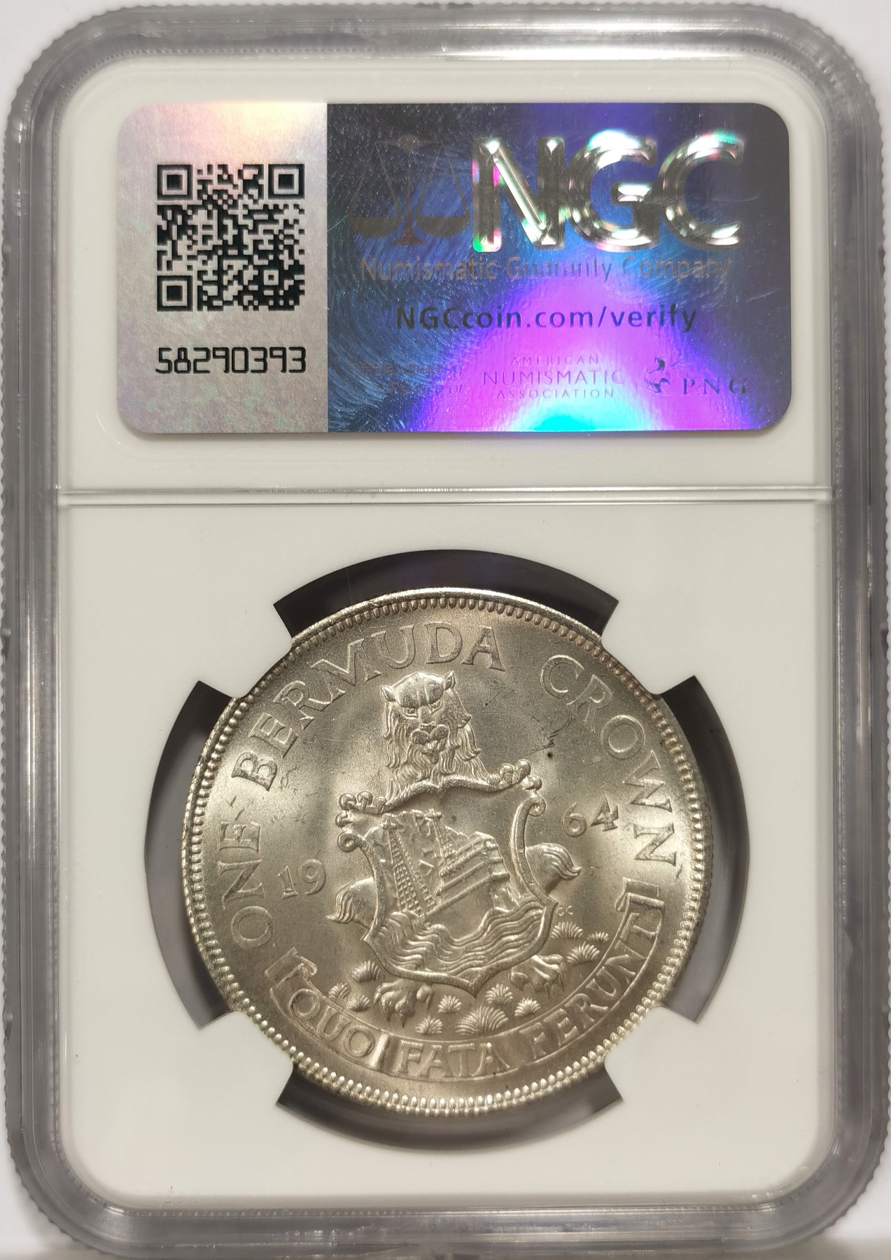博洋堂【北京钱博会拍卖周】精品专场暨第54期（全场包邮） NGC MS65 英属百慕大1964年伊丽莎白二世1克朗银币，收藏级分数