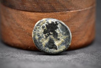 【良泉藏泉】古罗马铜币专场 - 公元前27年-公元14年【古罗马】奥古斯都 屋大维 弗里几亚行省 阿帕米亚城铜币