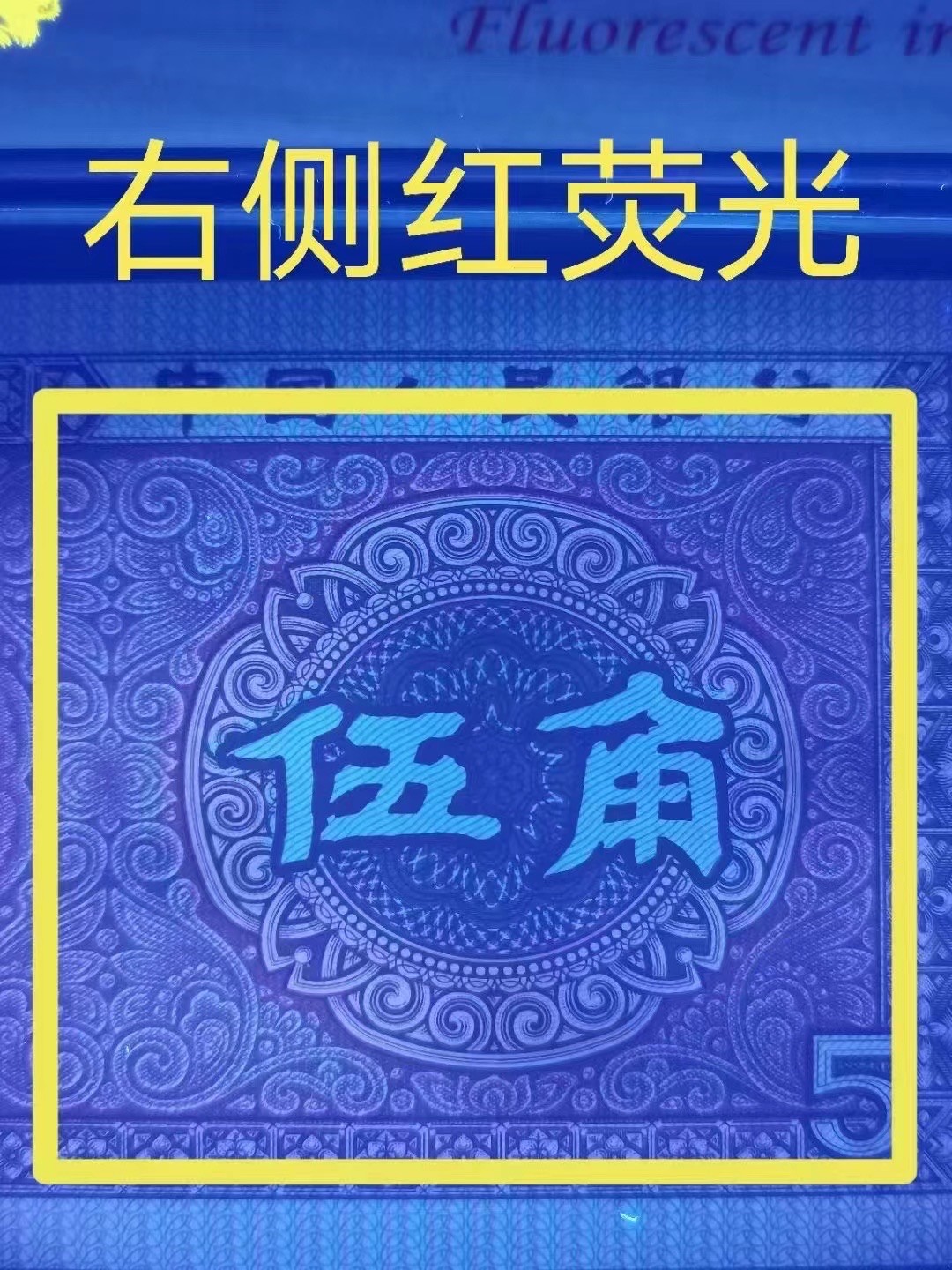 一线荧光币第330期拍场 钱坤评级8005TH太阳红点民，TH21133943，评级币单张，错币，5角瑕疵币本身就很少，绝品无斑无油